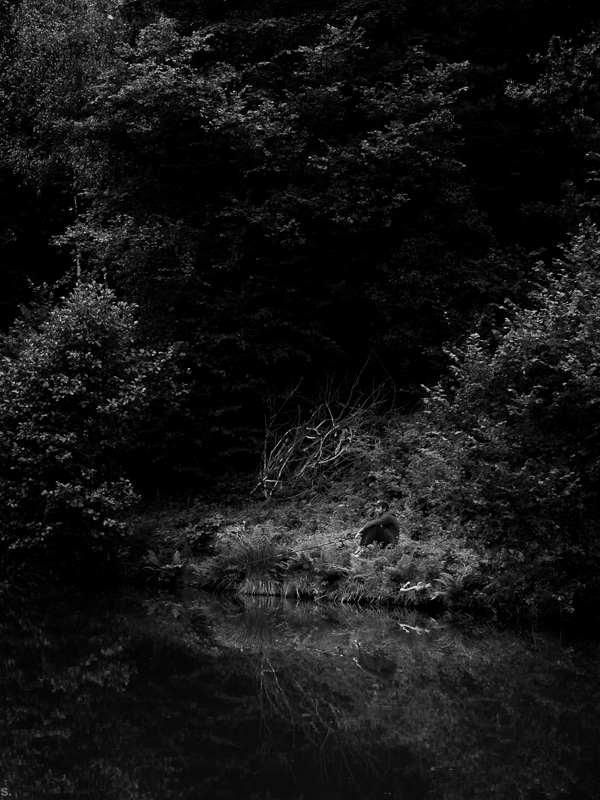 2013 08 24to25, Les Etangs Gourmands 0279